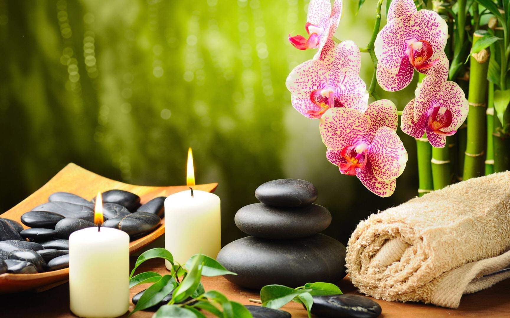 Ayurvedic Stay in Goa